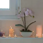 דירה Penthouse Nikola *