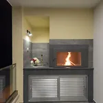 Penthouse Nikola *