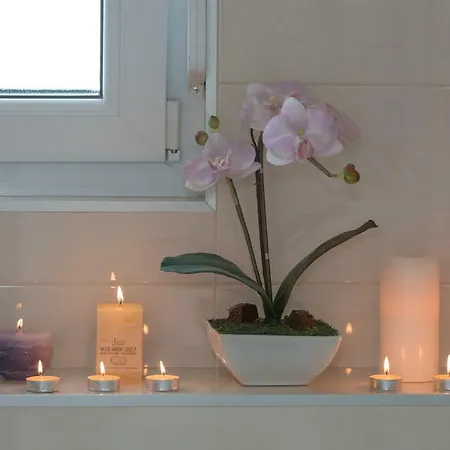 Διαμέρισμα Penthouse Nikola *